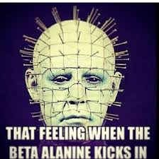beta-alanine