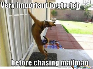 Very-Important-to-stretch-before-chasing-mailman_o_115315